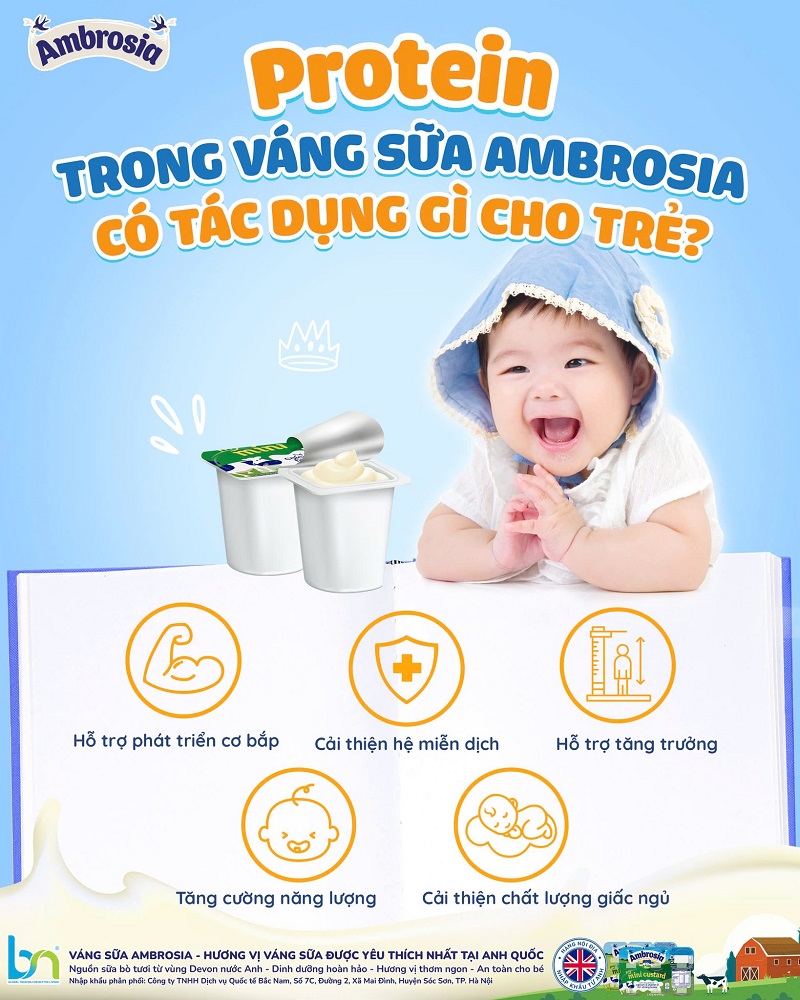 Vai trò của protein trong sữa